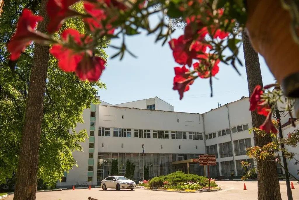 Сосны - главное фото