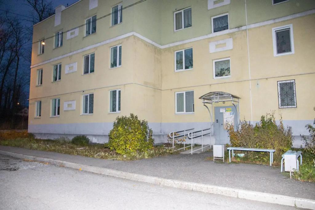 Барбарис на улице Льва Толстого - главное фото