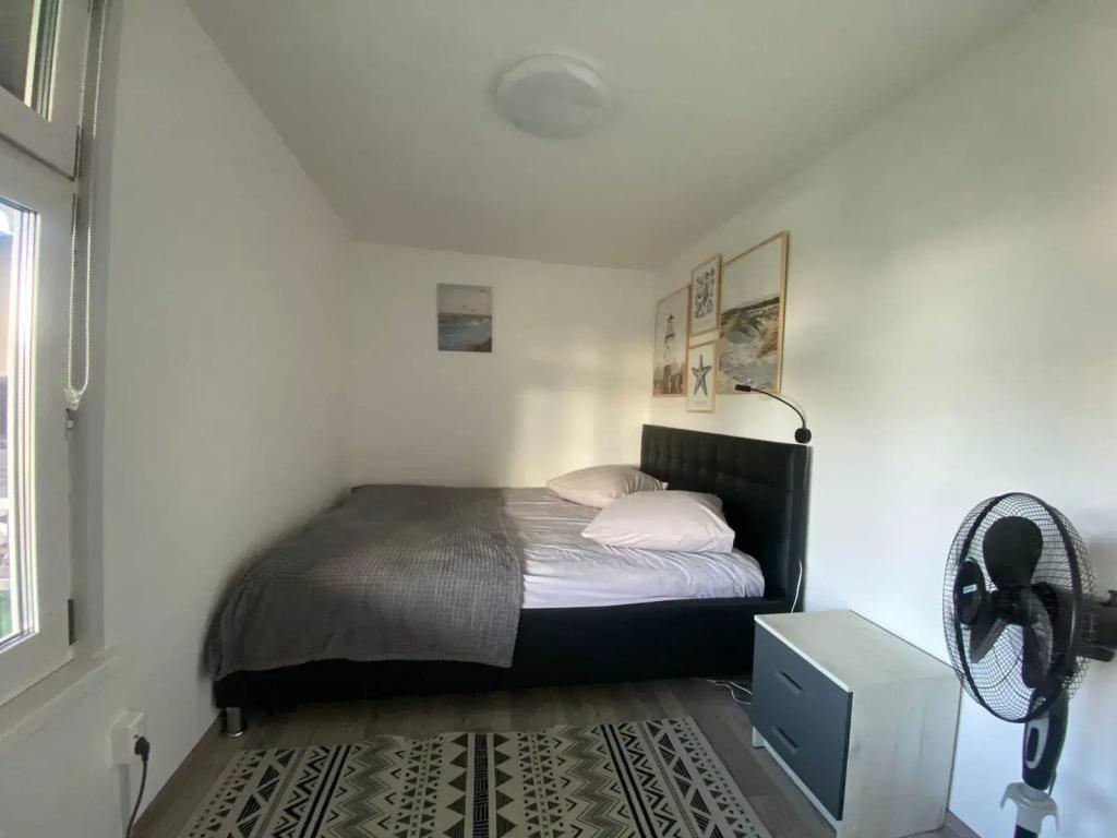 Прибрежный - главное фото