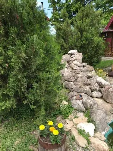 Teremok Guest House - главное фото