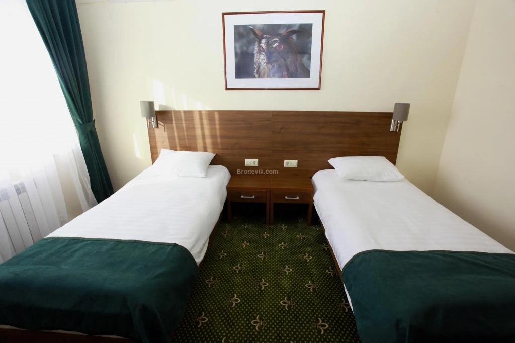 Сова - главное фото