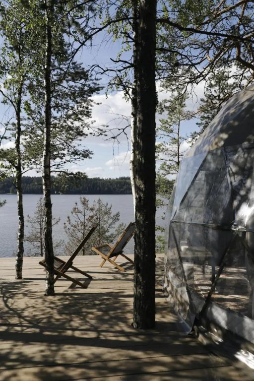 Вили Улей Карелия - главное фото