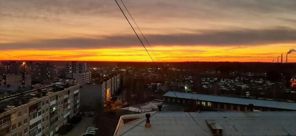 Желтый Нарцисс на улице Челюскинцев - главное фото