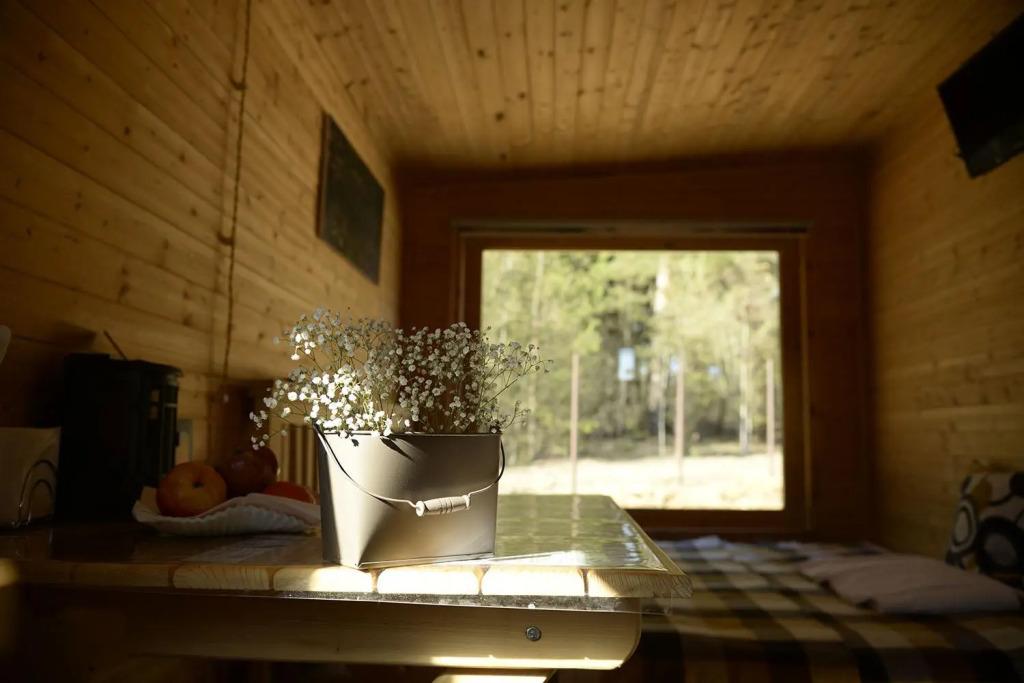 Рузские Лужки База отдыха - главное фото