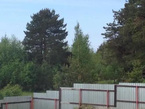 Guest House Zarechye 18 - главное фото