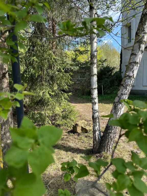 Эйфория Дом с баней и барбекю зоной - главное фото