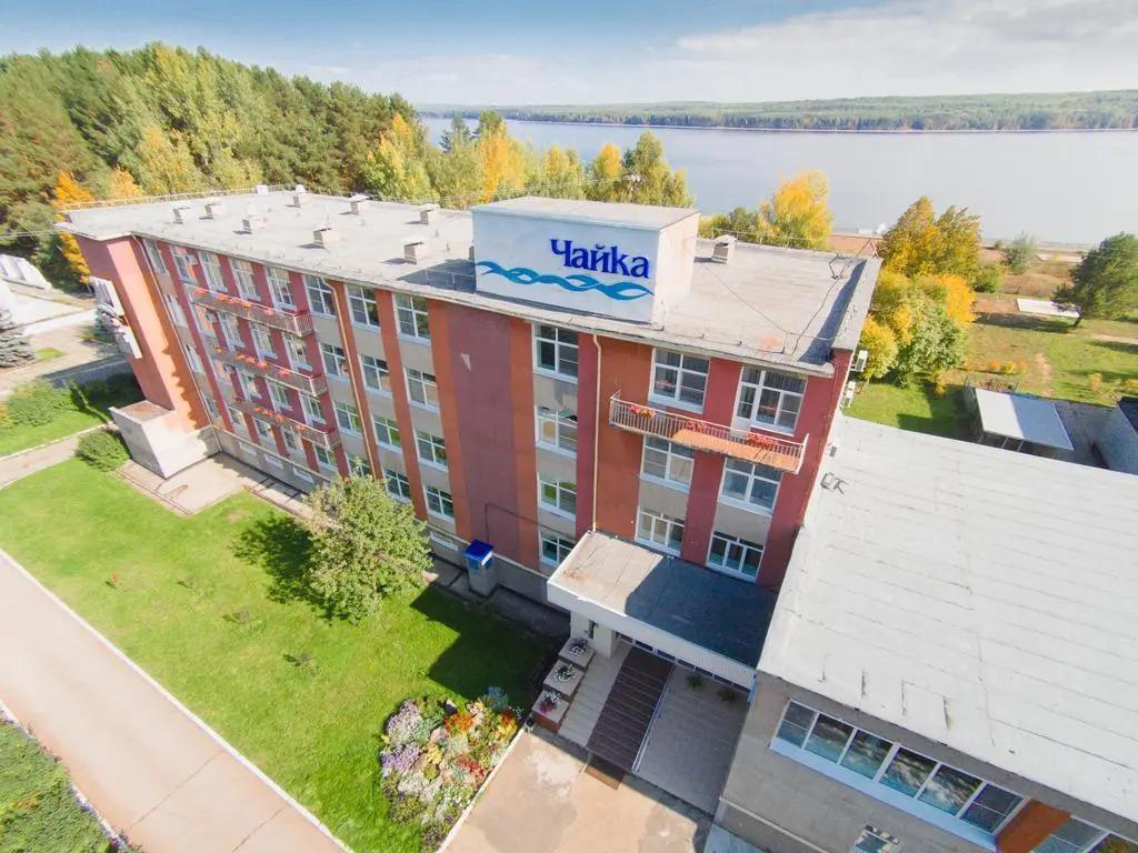 Чайка - главное фото