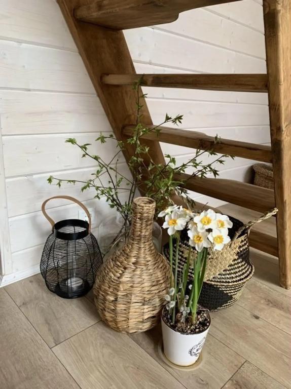 ShelestGlamp (Шелест) - главное фото