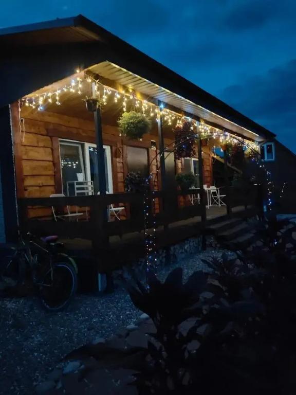 Хвоя - главное фото