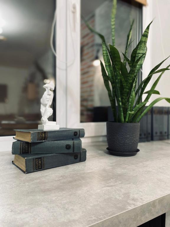 Квартира Лофт в Центре Выксы - главное фото