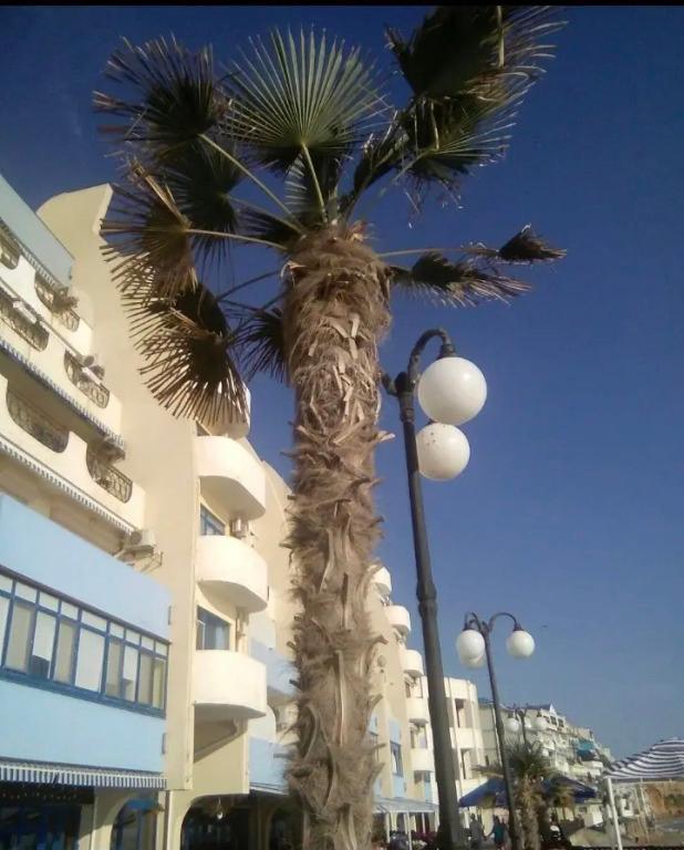 Апартаменты Наш Парус - главное фото