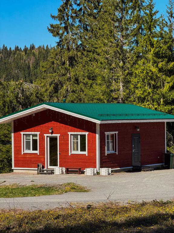 Гостевой дом 7 VILLANORDA - главное фото