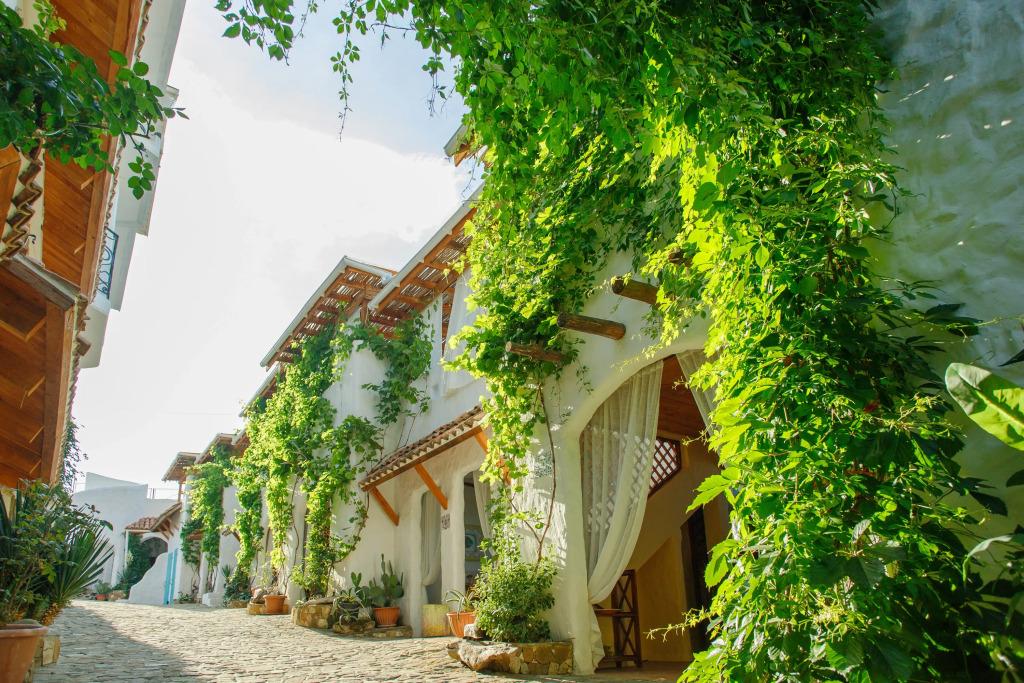 Эстет - главное фото