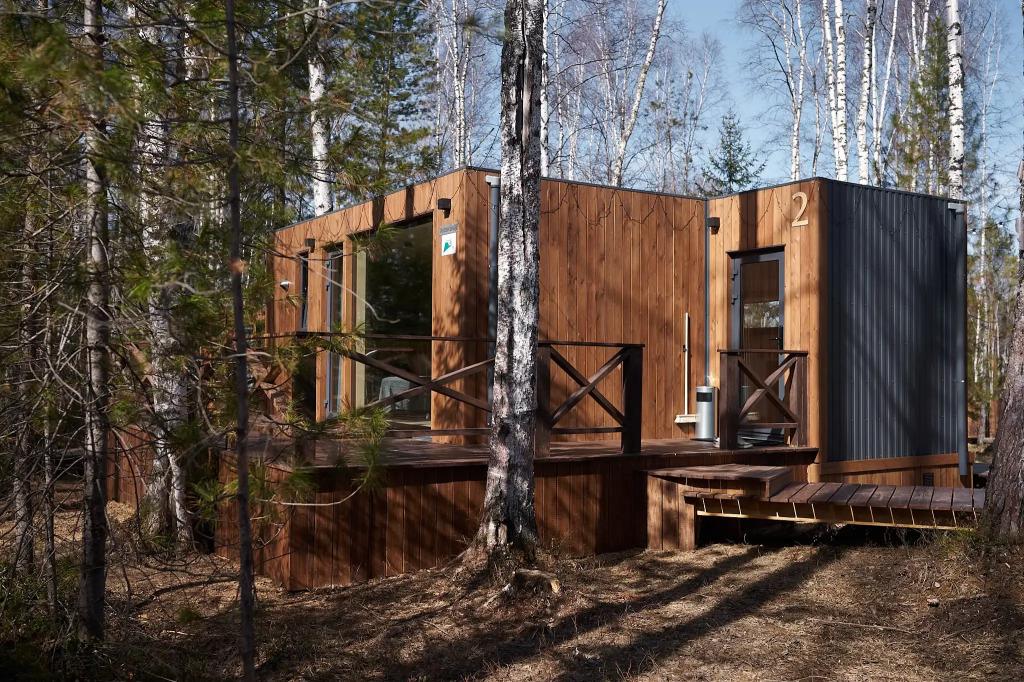 Снежные Гуси в Байкальске - главное фото