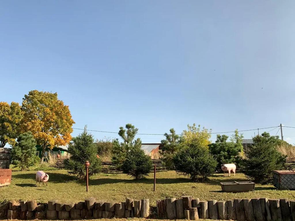 Гостевой Дом у Борисыча - главное фото