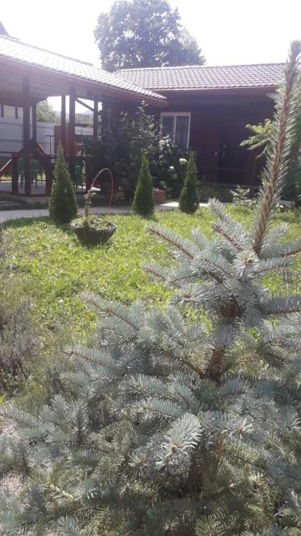 Частный дом Feel House - главное фото