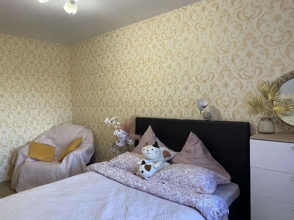 Квартира двушка просторная - главное фото