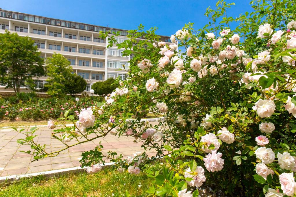 Санаторий Архипо-Осиповка ФМБА России - главное фото