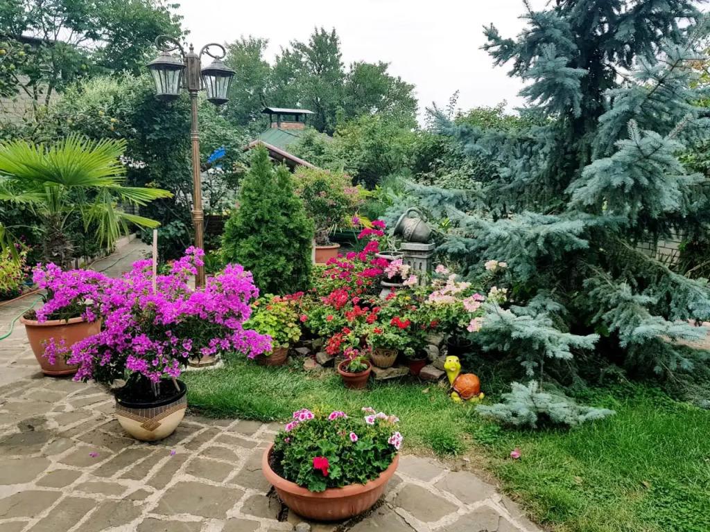 Гостевой Дом Крым - главное фото