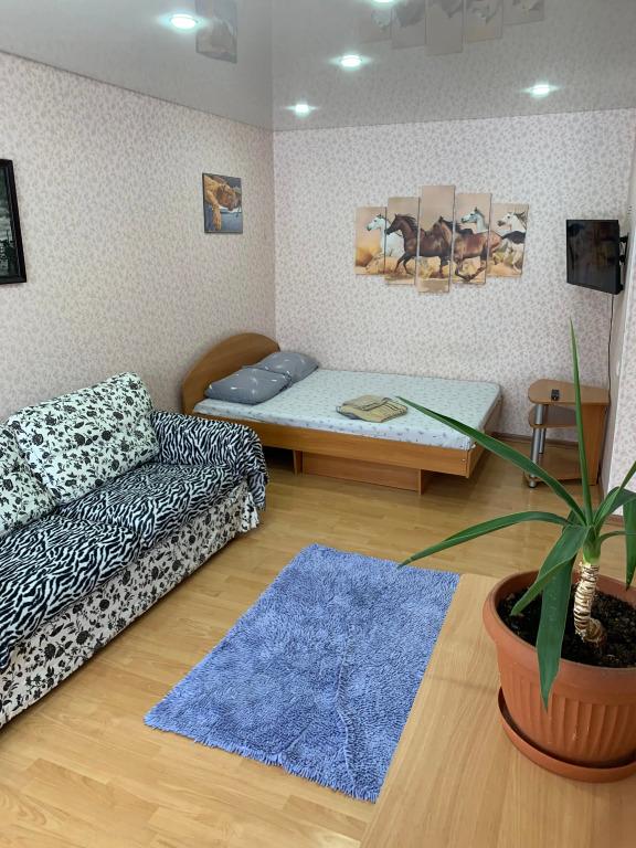 Квартира Однокомнатная - главное фото