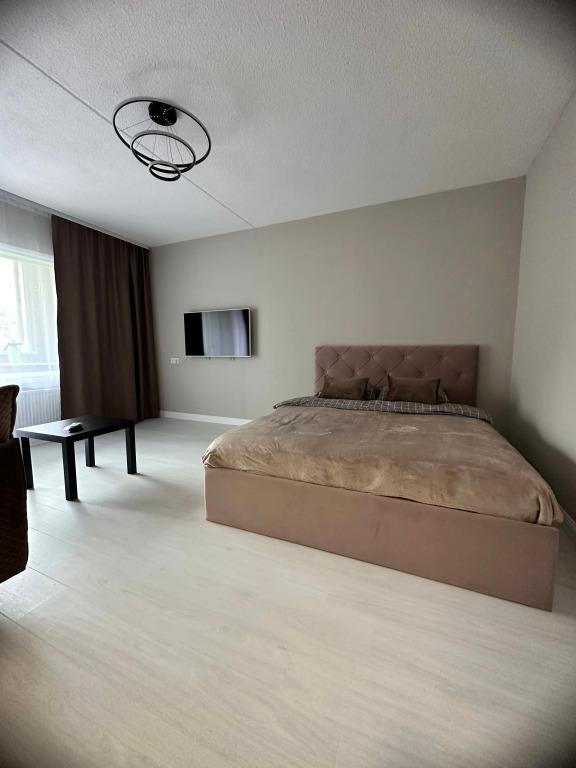 Апартаменты 1-Комнатные - главное фото