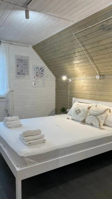 Частный дом Ракушка на берегу моря - главное фото