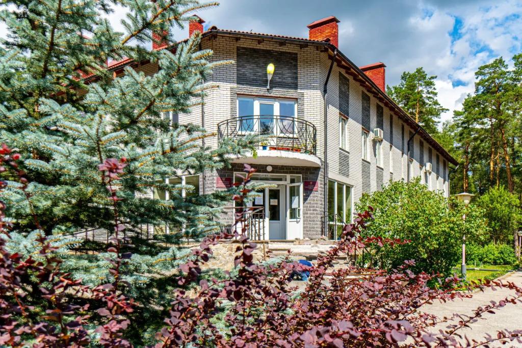 Санаторий Русский лес - главное фото