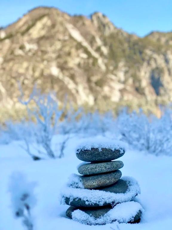 Частный дом п.Чепош - главное фото