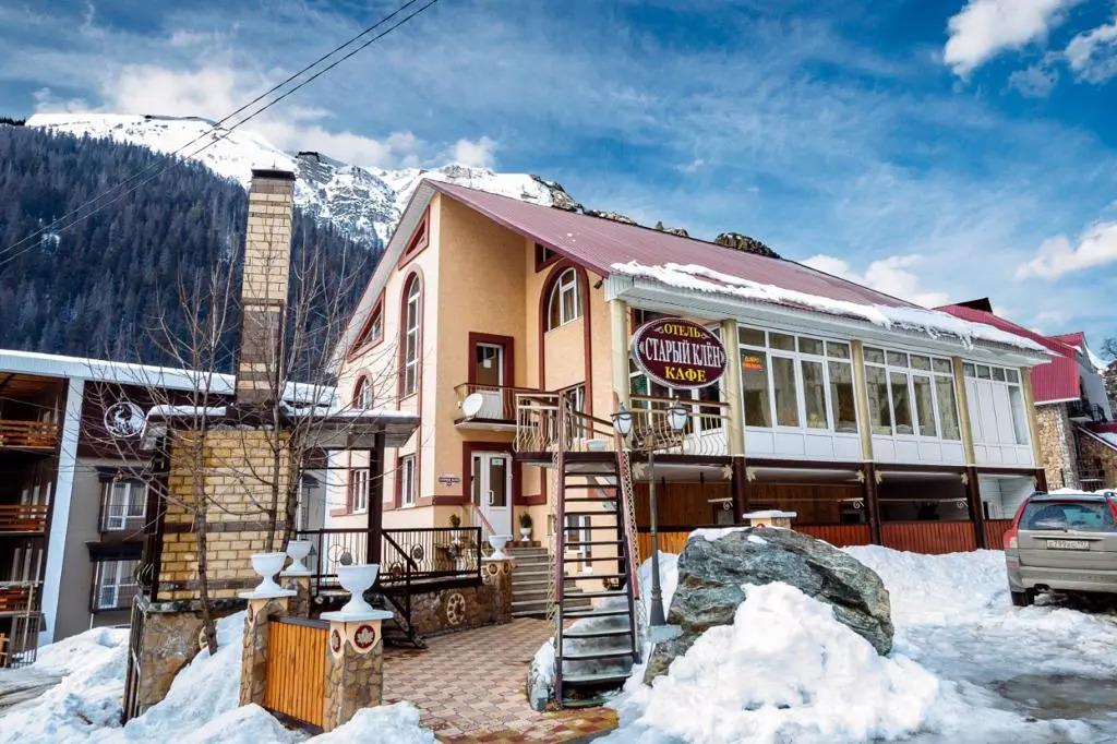 Отель Старый клён - главное фото