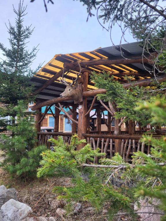 Гостевой дом Утуликская Сказка на Байкале - главное фото