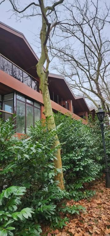 Отель Жемчужина Кавказа - главное фото