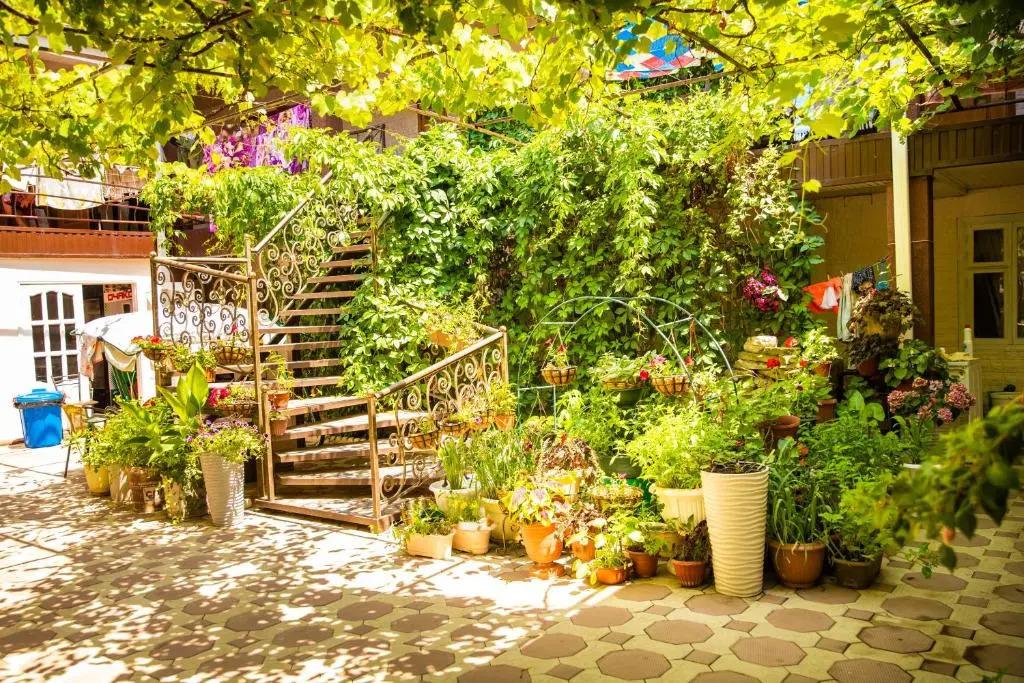 Гостевой дом Аленка - главное фото