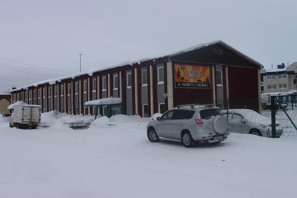 Tundra - главное фото