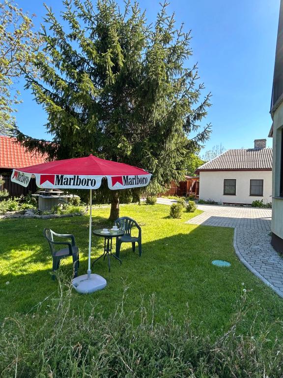 Апартаменты У Рыбного двора - главное фото