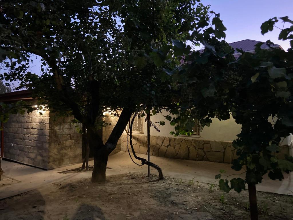 Частный дом Дом в центре Тамани - главное фото