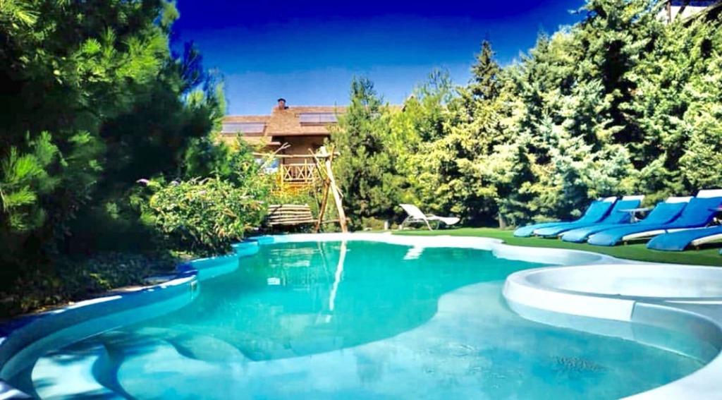 Марлин - главное фото