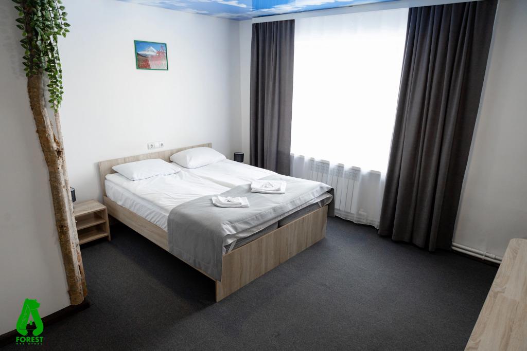 Отель Forest - главное фото