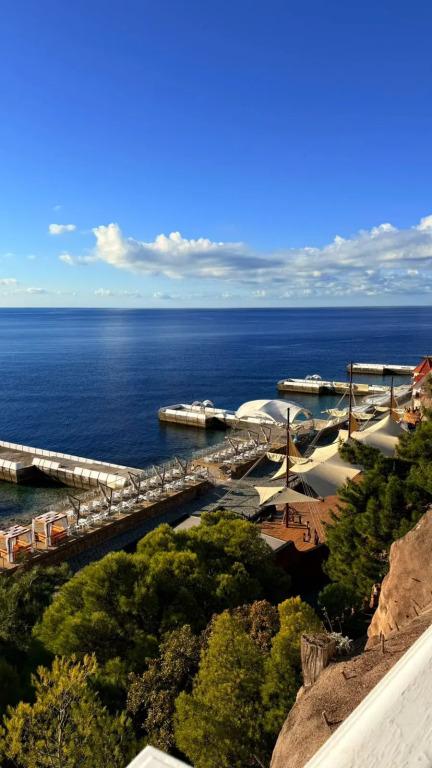 Санаторий Климатический курорт Сосновая Роща - главное фото