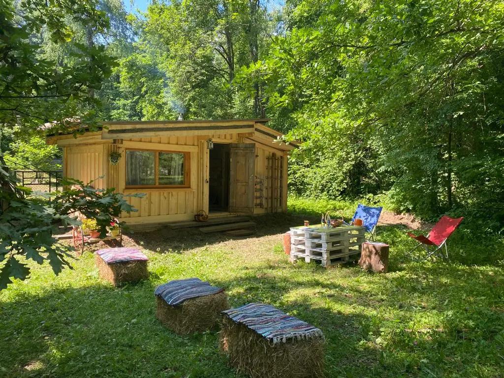 Глэмпинг под Звенигородом - главное фото