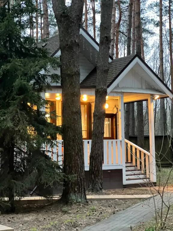 Частный дом Дача в соснах Кратово - главное фото