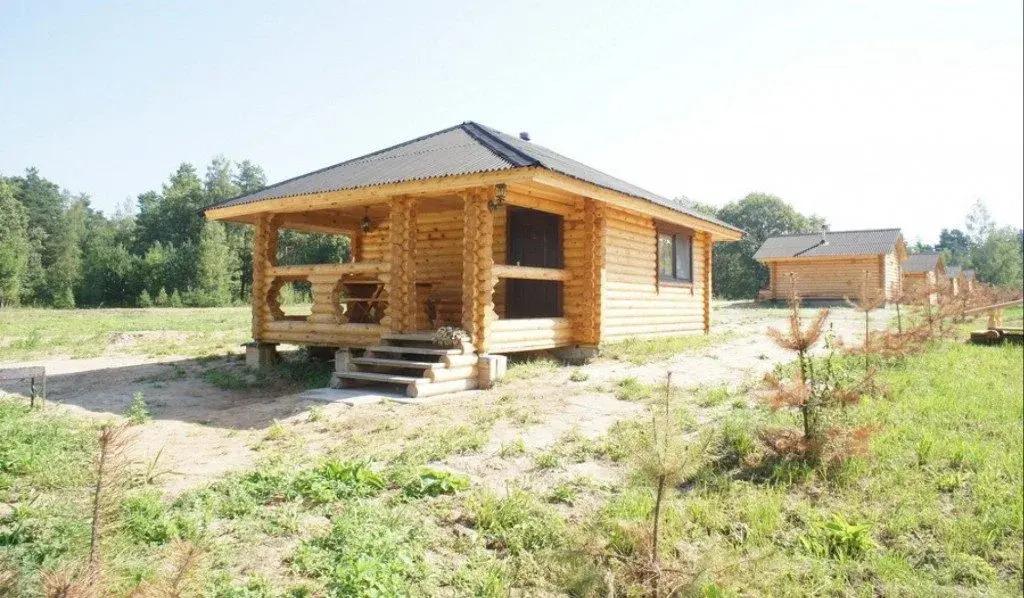 Buryi medved - главное фото