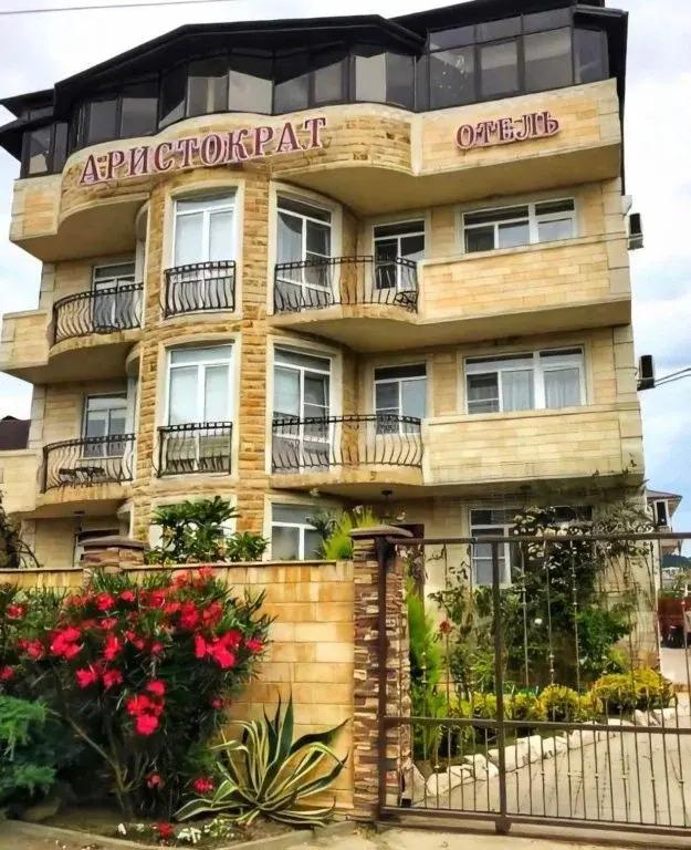 Аристократ (Сириус) - главное фото