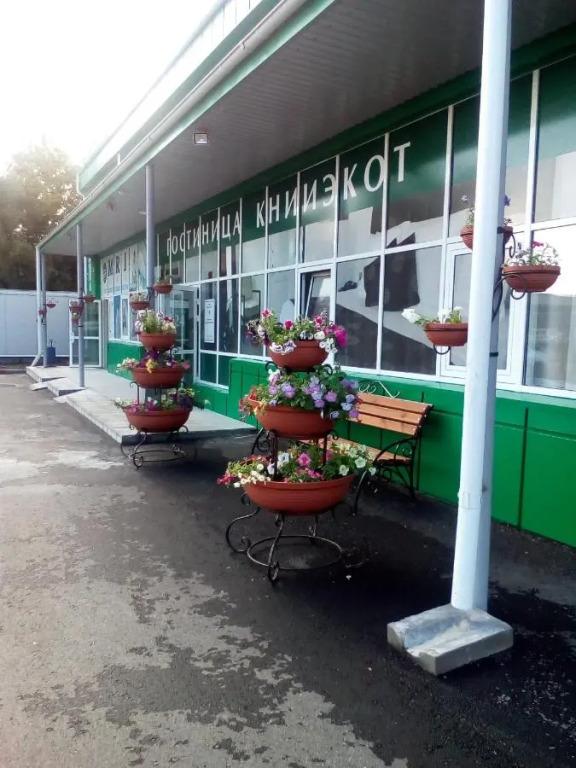 Отель Книиэкот - главное фото